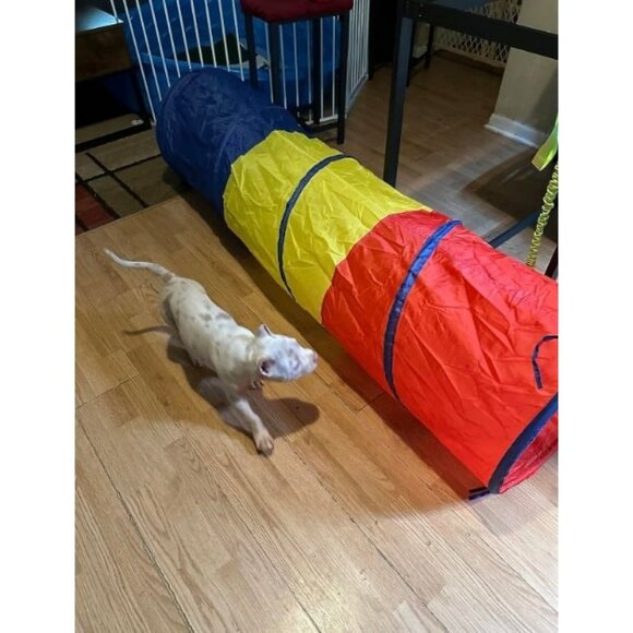 Pop Up Play Tunnel Tent for Toddlers Babies or Dogs, Indoor & Outdoor - Picture 1 of 2